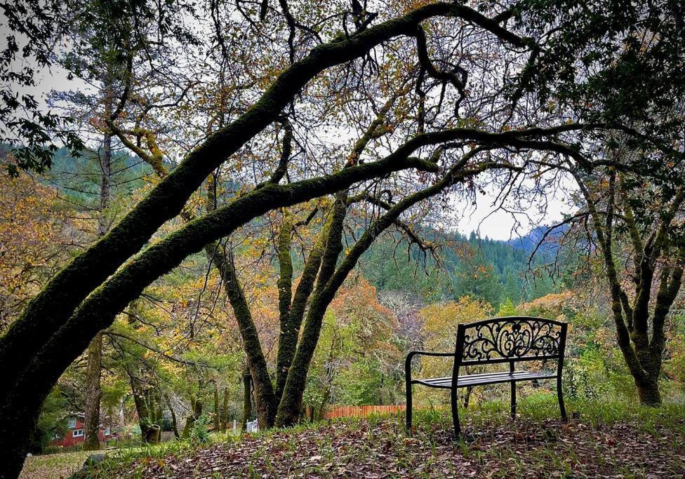 Avenue Of The Giants Pepperwood Place Miranda Dış mekan fotoğraf